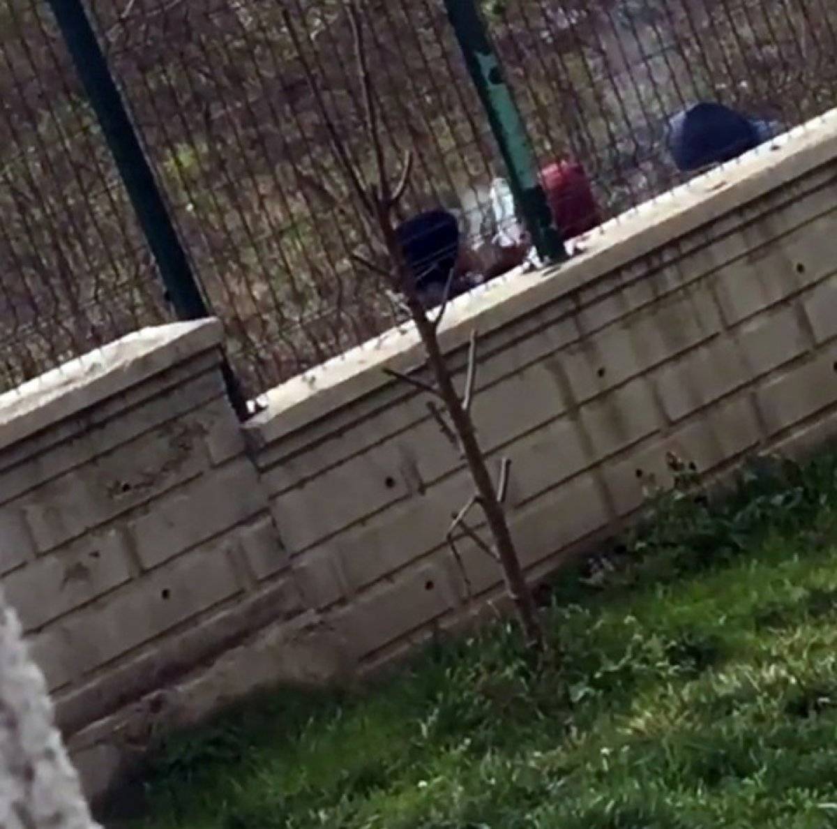 Sakarya'da uyuşturucu kullanan çocuklar kamerada