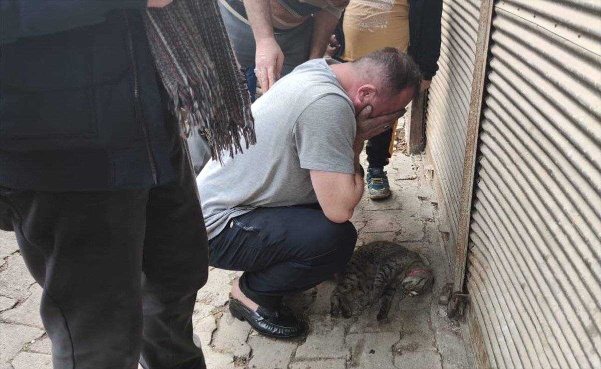 Giresun'da kedisi telef olan ev sahibi uzun süre ağladı