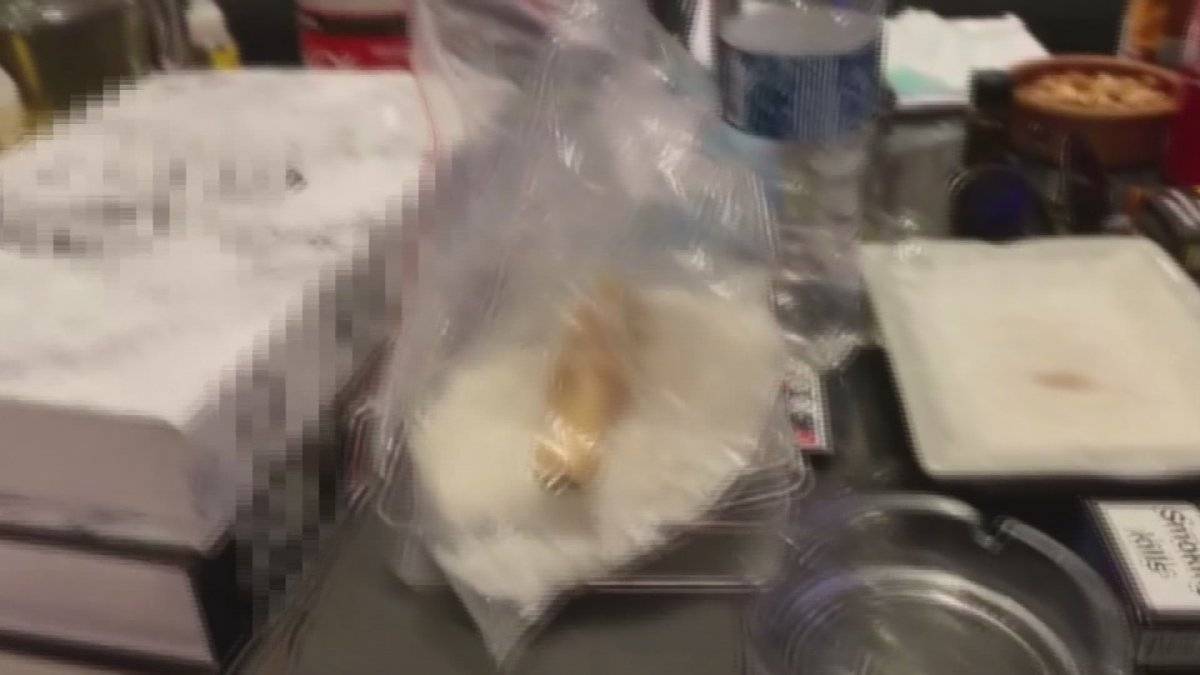 Kartal'da kiralık villaya uyuşturucu baskını kamerada