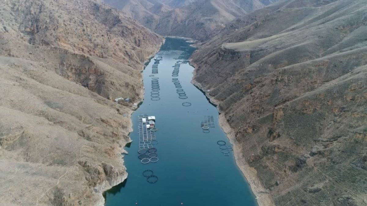 Elazığ'da alabalık ihracatı büyüdü