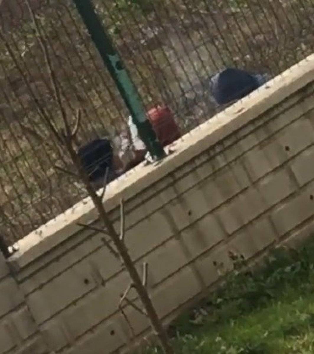 Sakarya'da uyuşturucu kullanan çocuklar kamerada