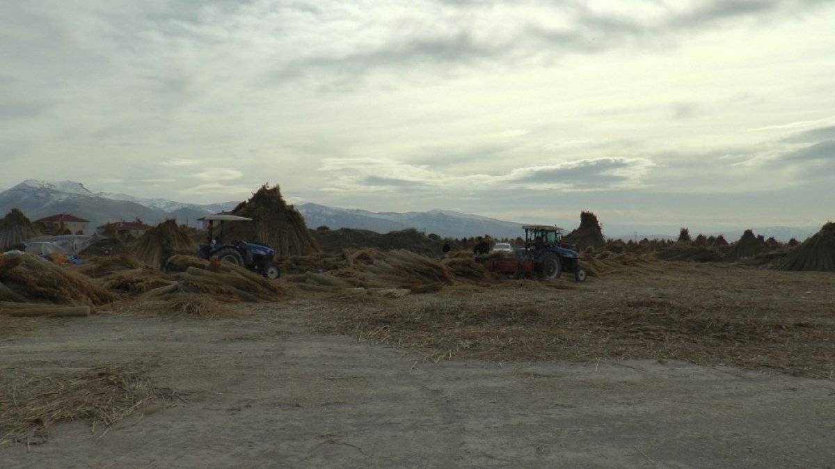 Kayseri'de kamış mesaisi