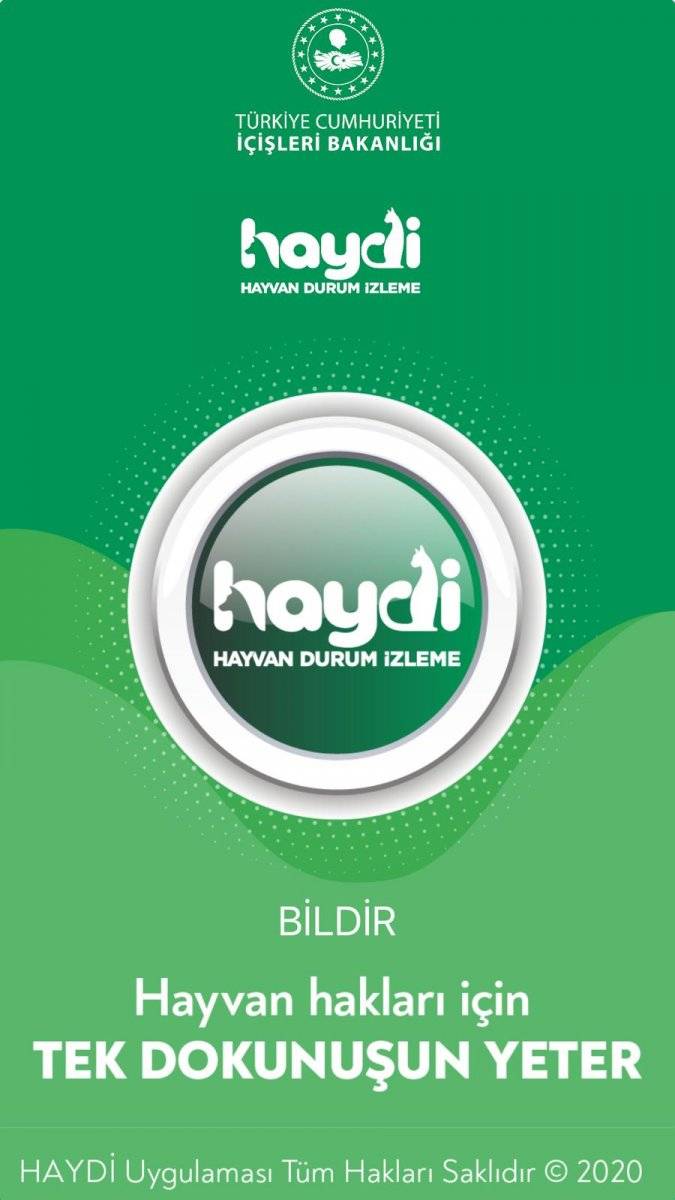 Haydi uygulaması nedir? Hayvan durum izleme uygulaması Haydi nasıl kullanılır?