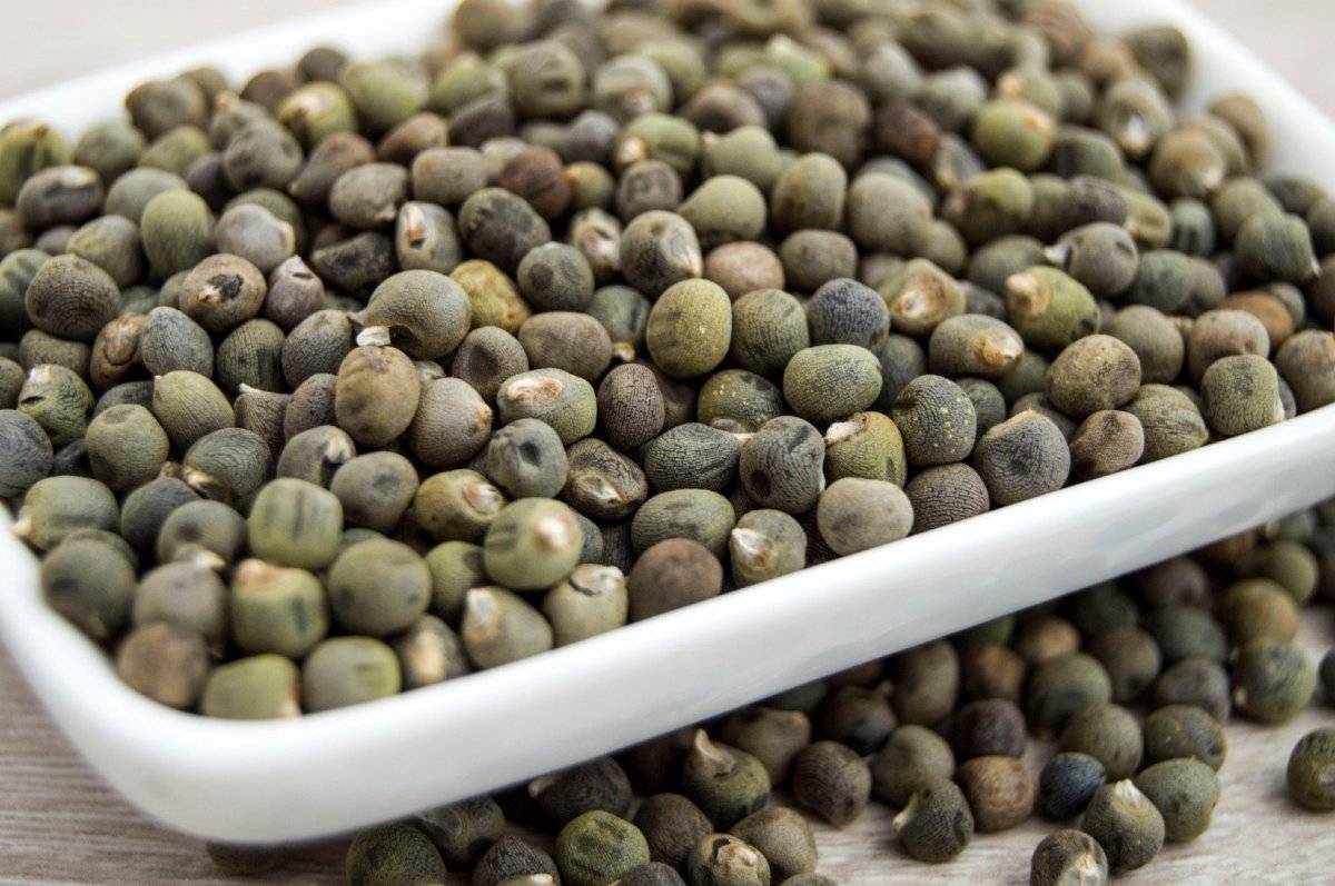 Bamya tohumu nedir, faydaları nelerdir? Bamya tohumu nasıl tüketilir?