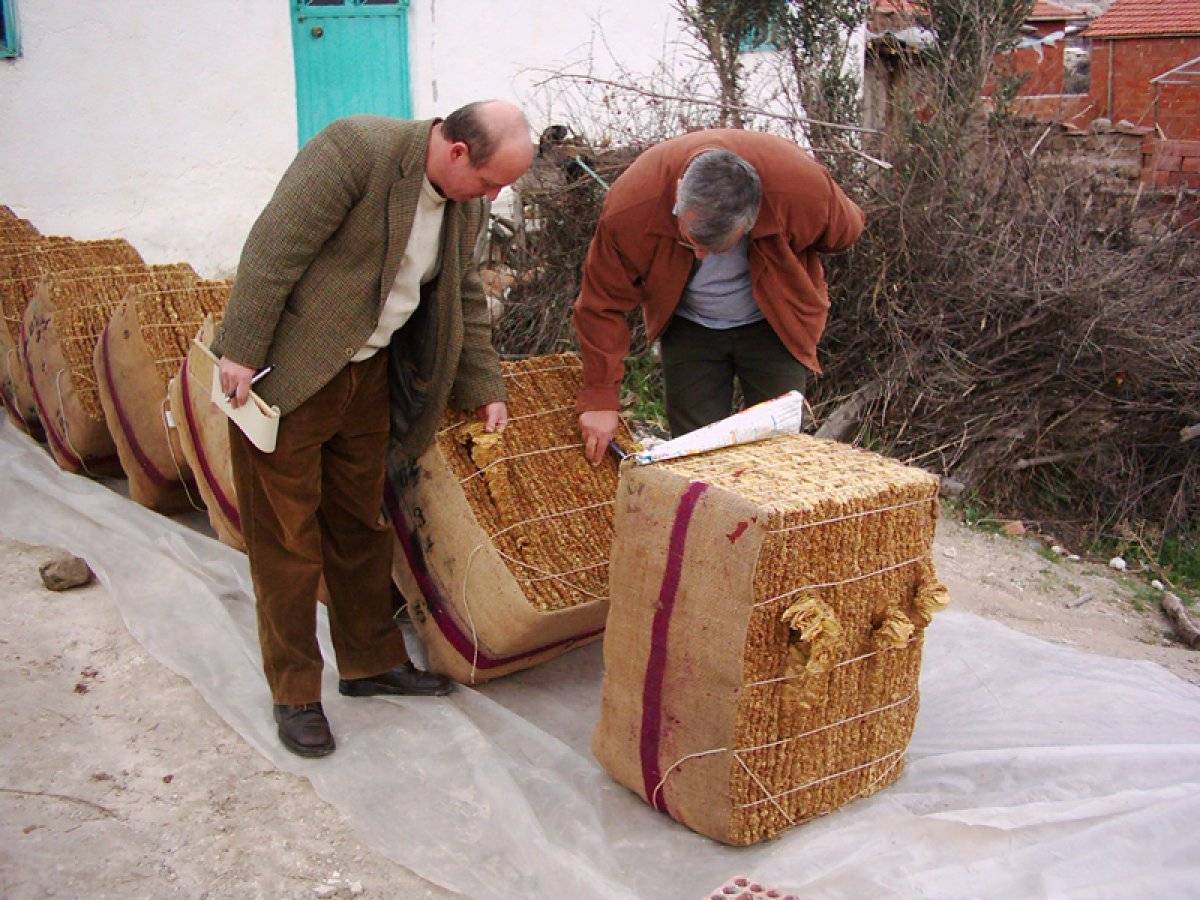 Üretici örgütleri desteklenmeli