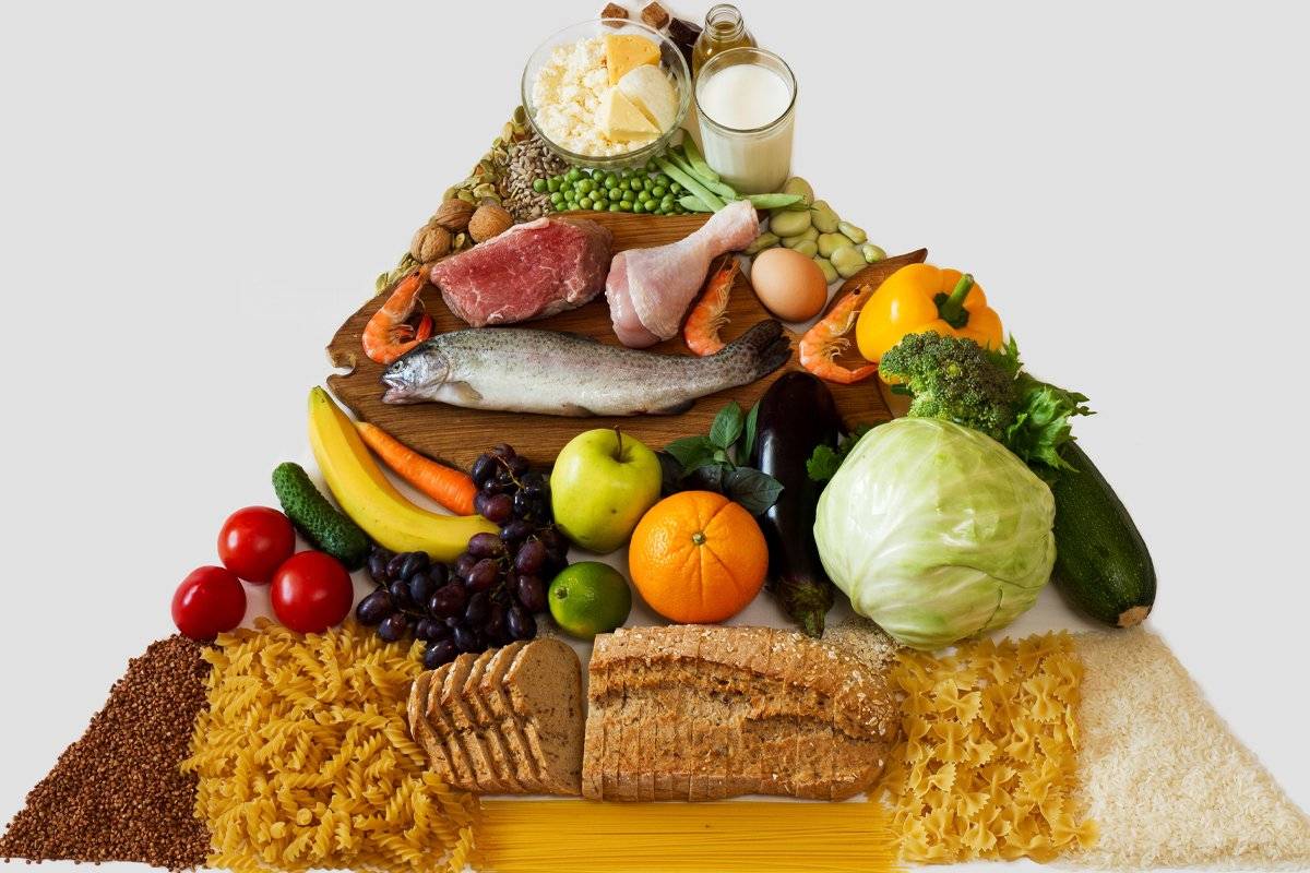 Günlük beslenmede dört yapraklı yonca modelini kullanın