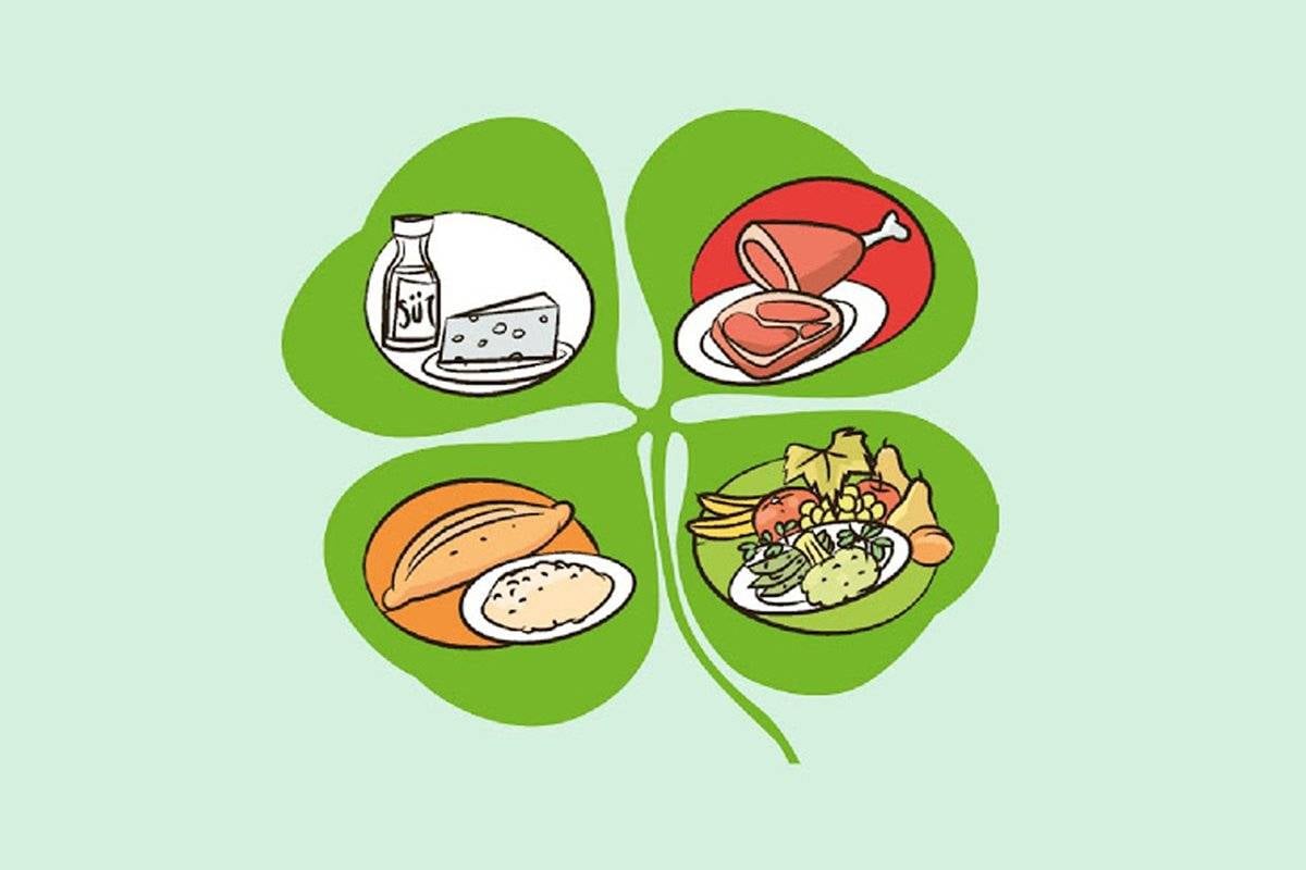 Günlük beslenmede dört yapraklı yonca modelini kullanın