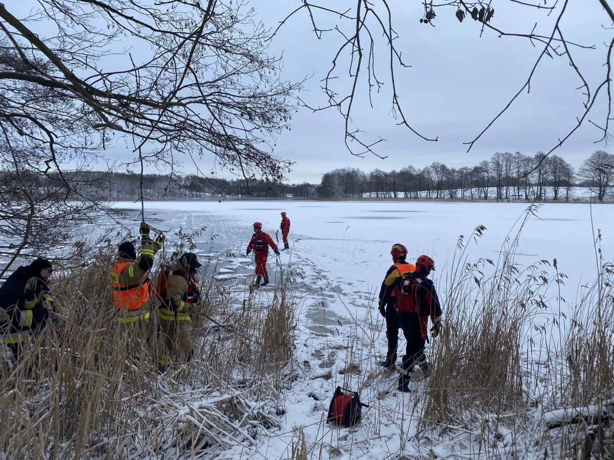 Polonya'da avcılardan kaçan geyikler göle düştü