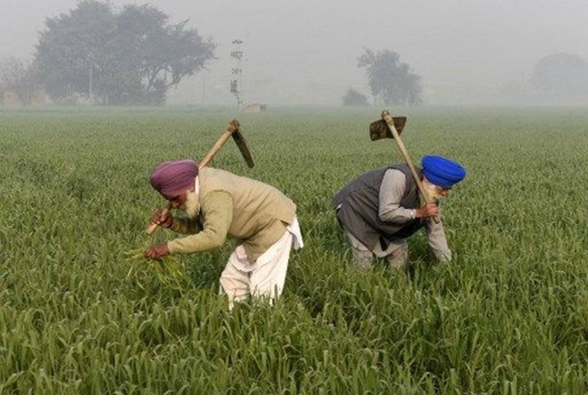 Rihanna’ya Hindistan hükümetinden tepki