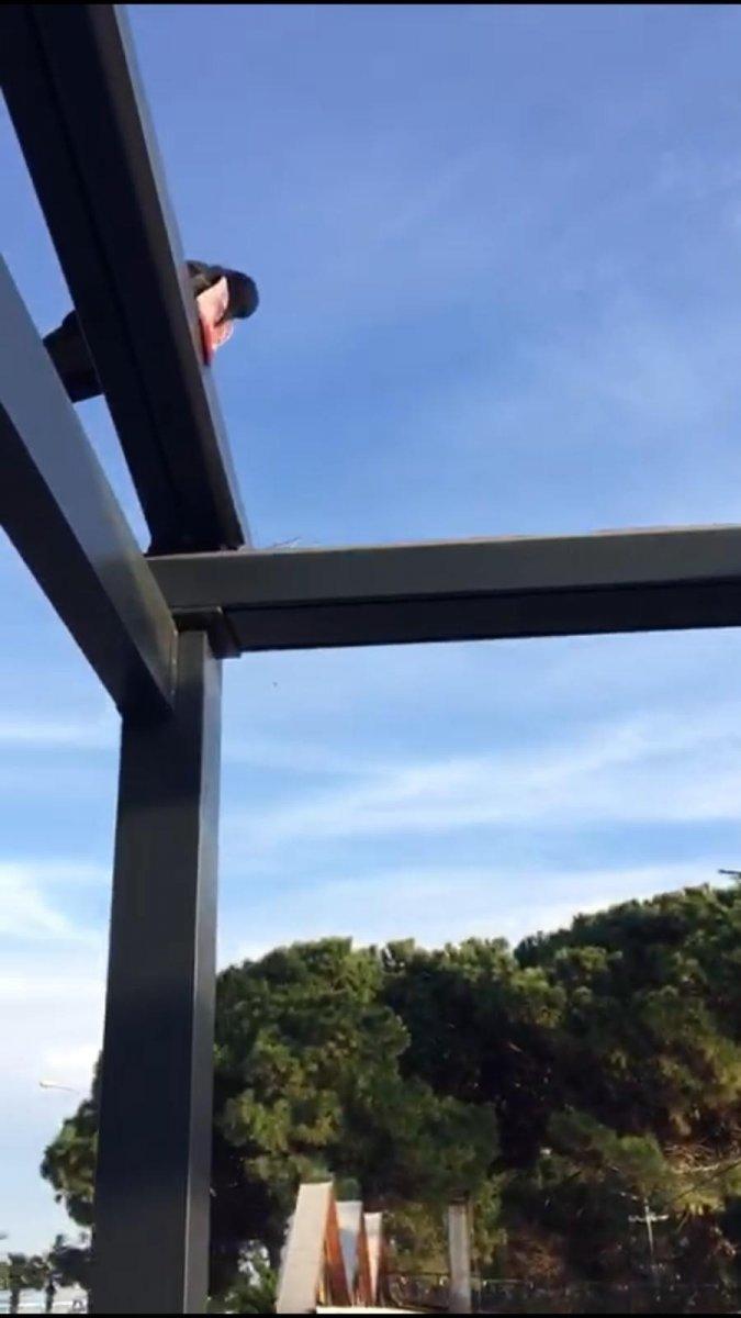 Samsun'da hırsız karga kamerada