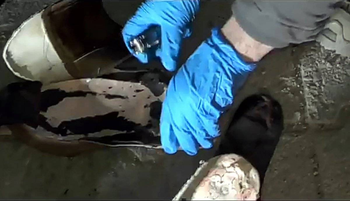 Mardin'de terör operasyonu: Patlayıcıları ayakkabıya yerleştirdiler