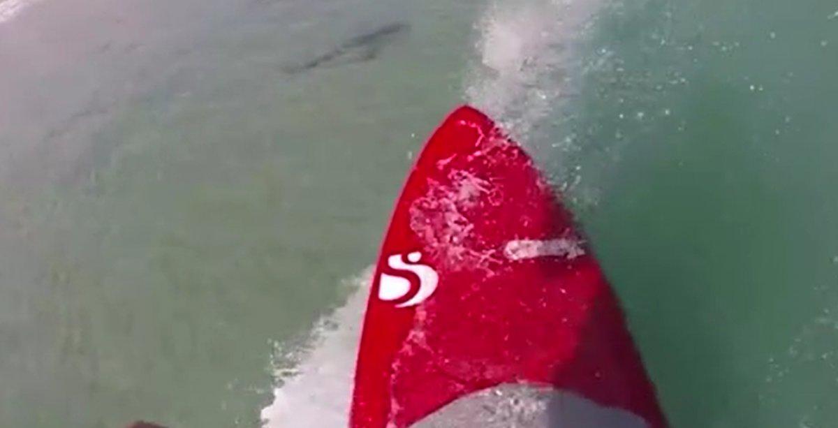 Florida'da bir sörfçü köpek balıkları tarafından takip edildi