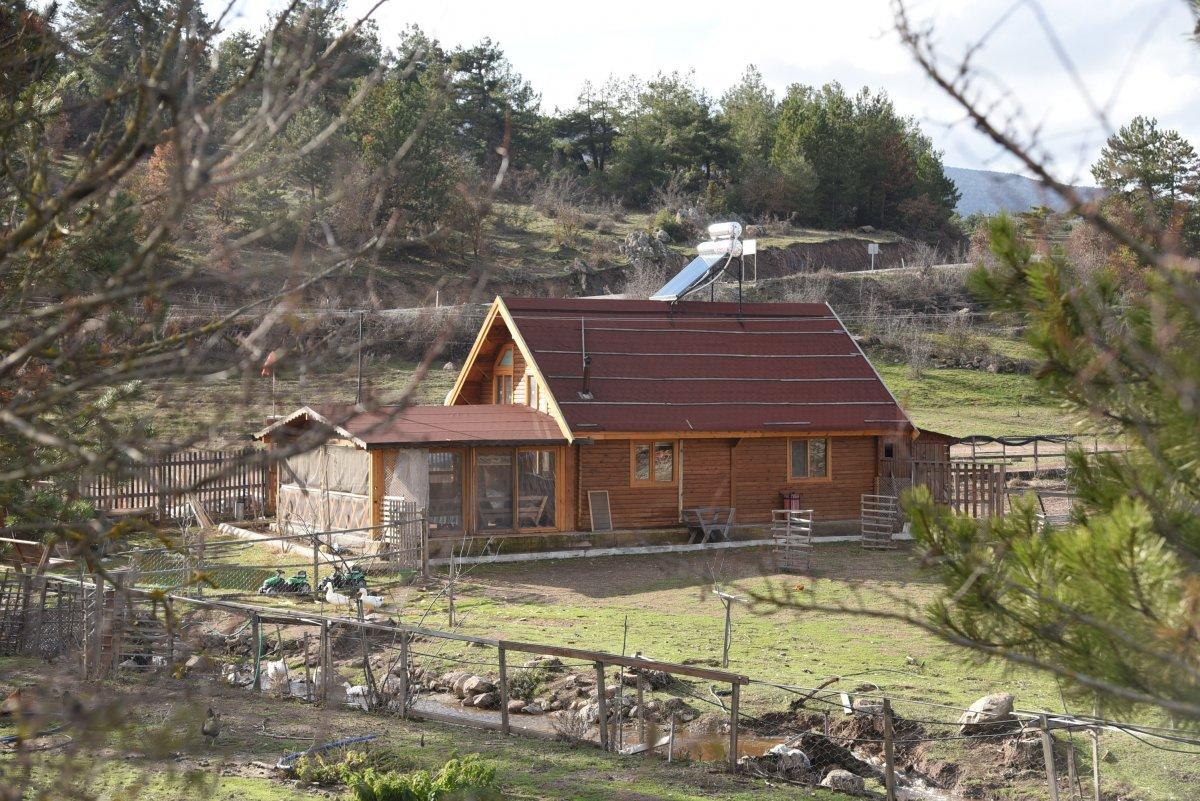 Ahşap evler revaçta