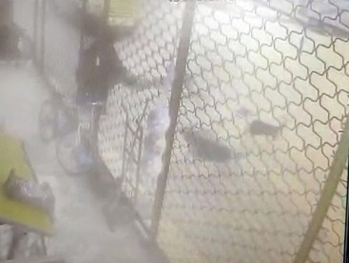 Sakarya'da sokak köpeklerinin saldırısına çantasıyla direndi