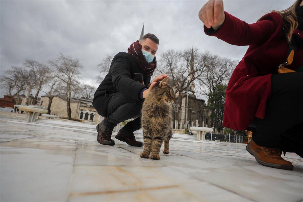 Türkiye güvenli turizm