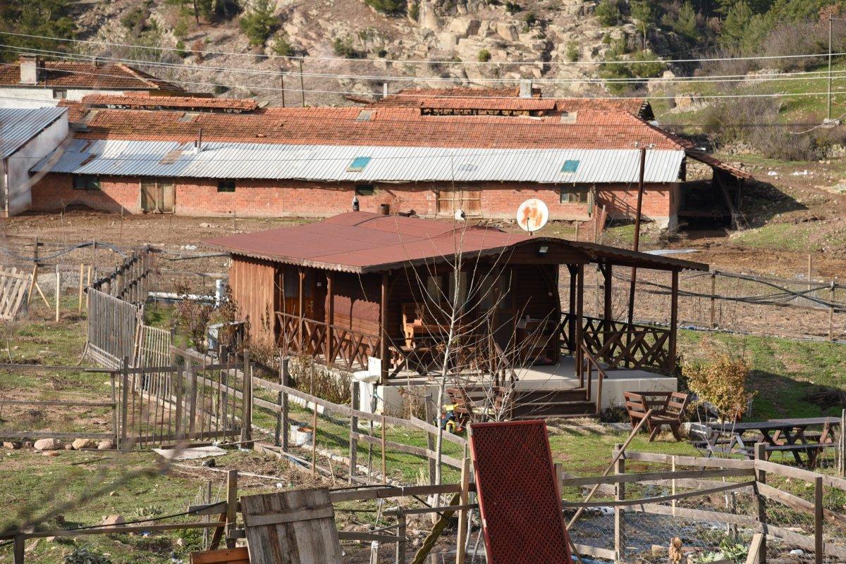 Ahşap evler revaçta