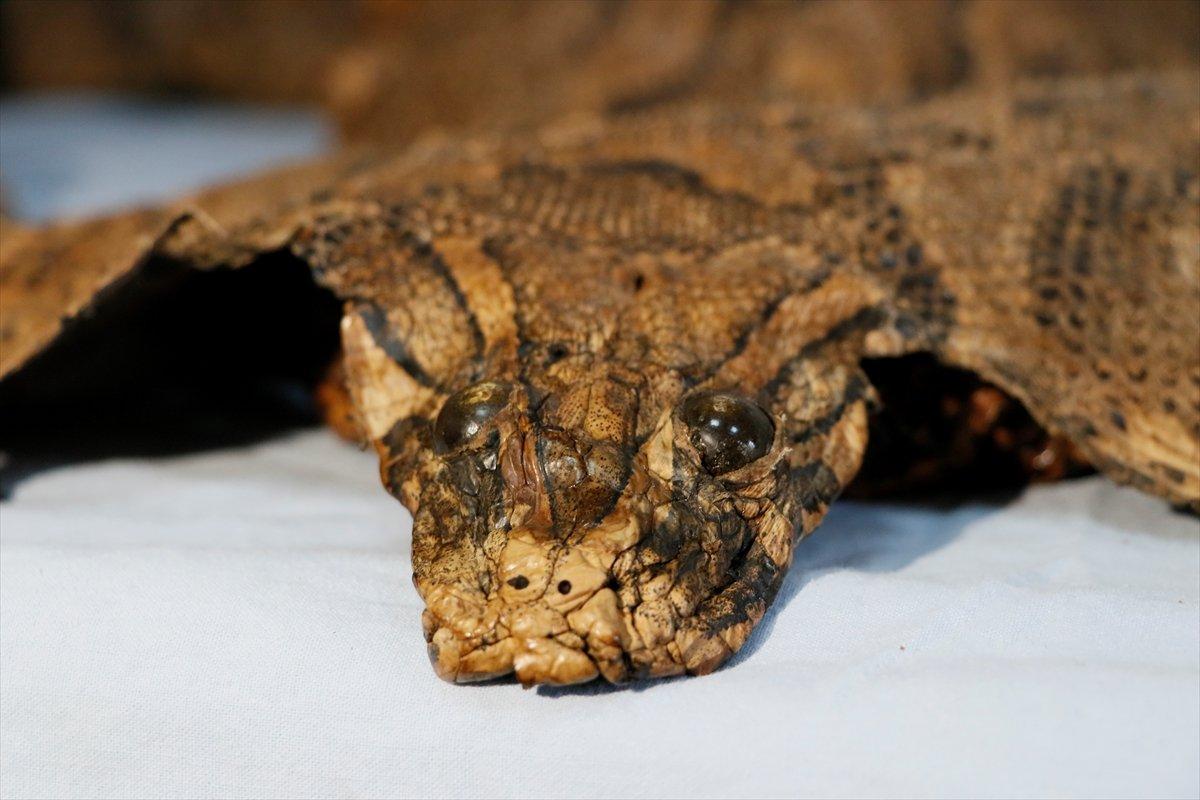 Şanlıurfa’da Ortaçağ’a ait işlemeli piton derisi ve dini kitaplar ele geçirildi