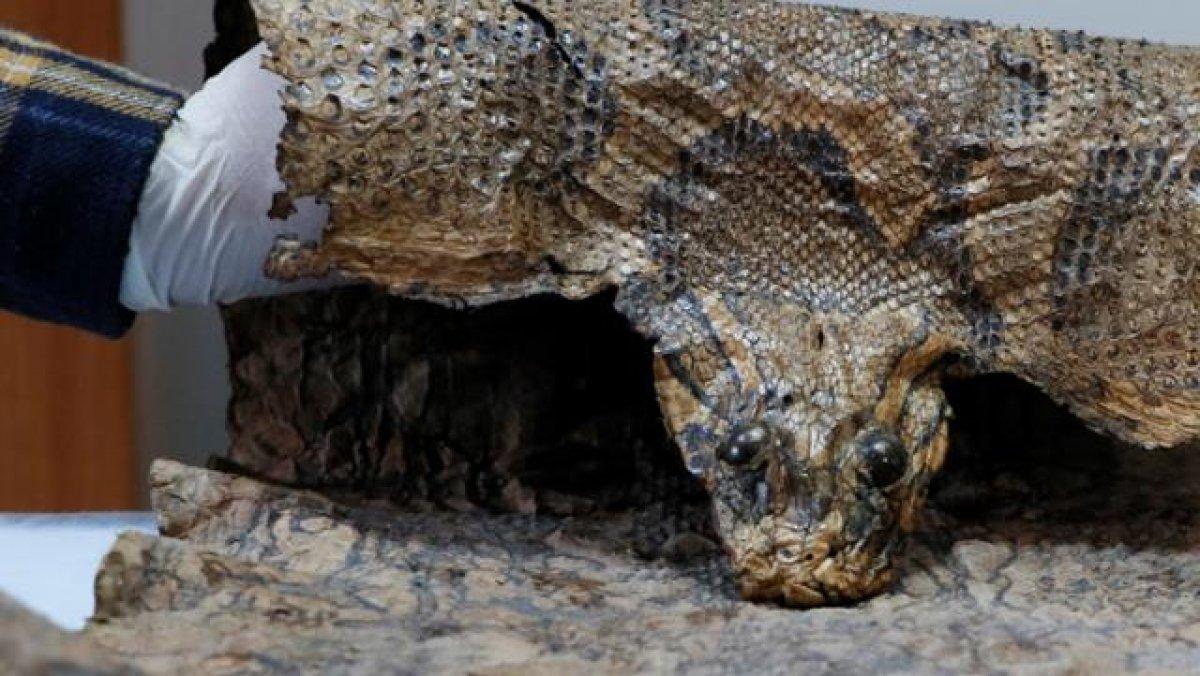 Şanlıurfa’da Ortaçağ’a ait işlemeli piton derisi ve dini kitaplar ele geçirildi