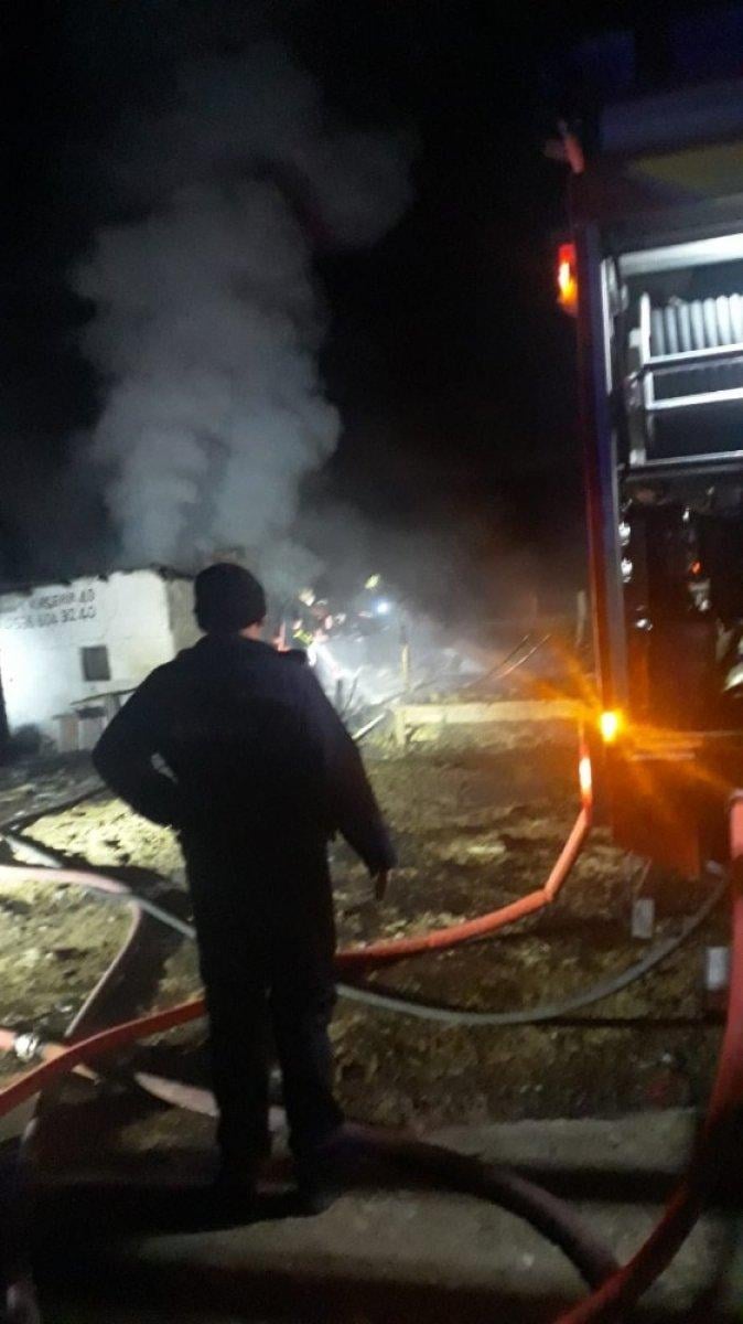 Ankara'da, koyunları yanan Ayşe Teyze'nin gözyaşları sel oldu