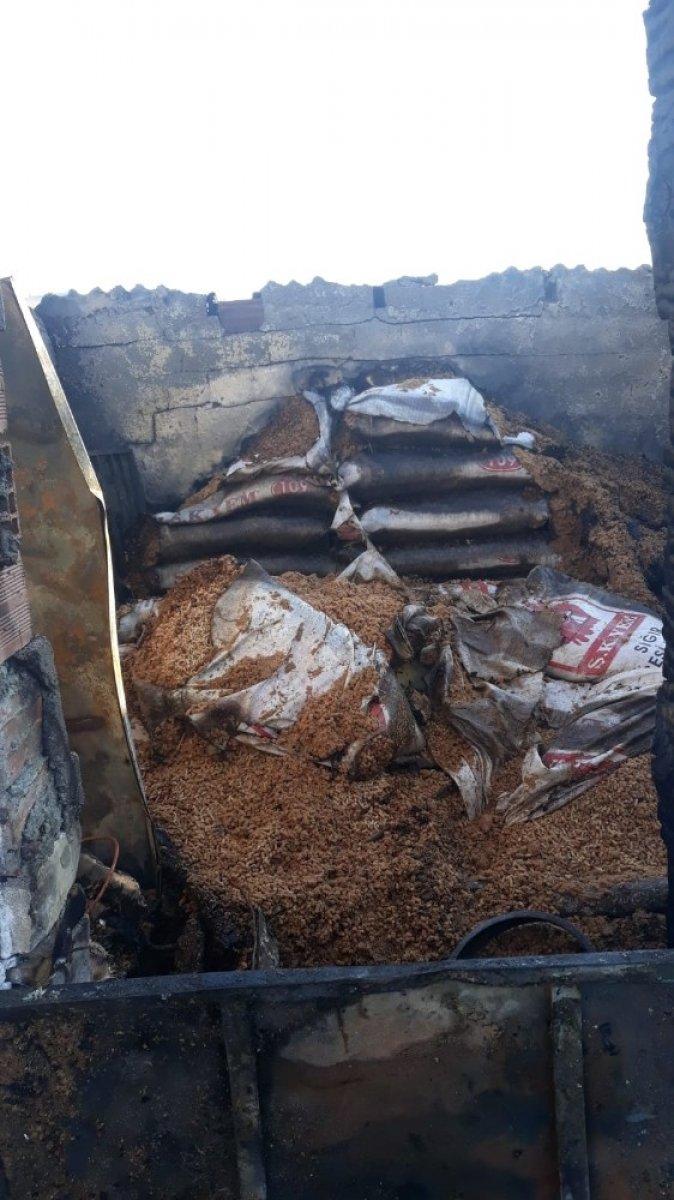 Ankara'da, koyunları yanan Ayşe Teyze'nin gözyaşları sel oldu