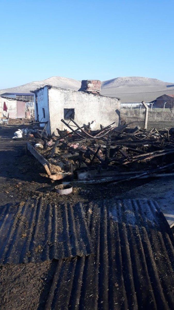 Ankara'da, koyunları yanan Ayşe Teyze'nin gözyaşları sel oldu