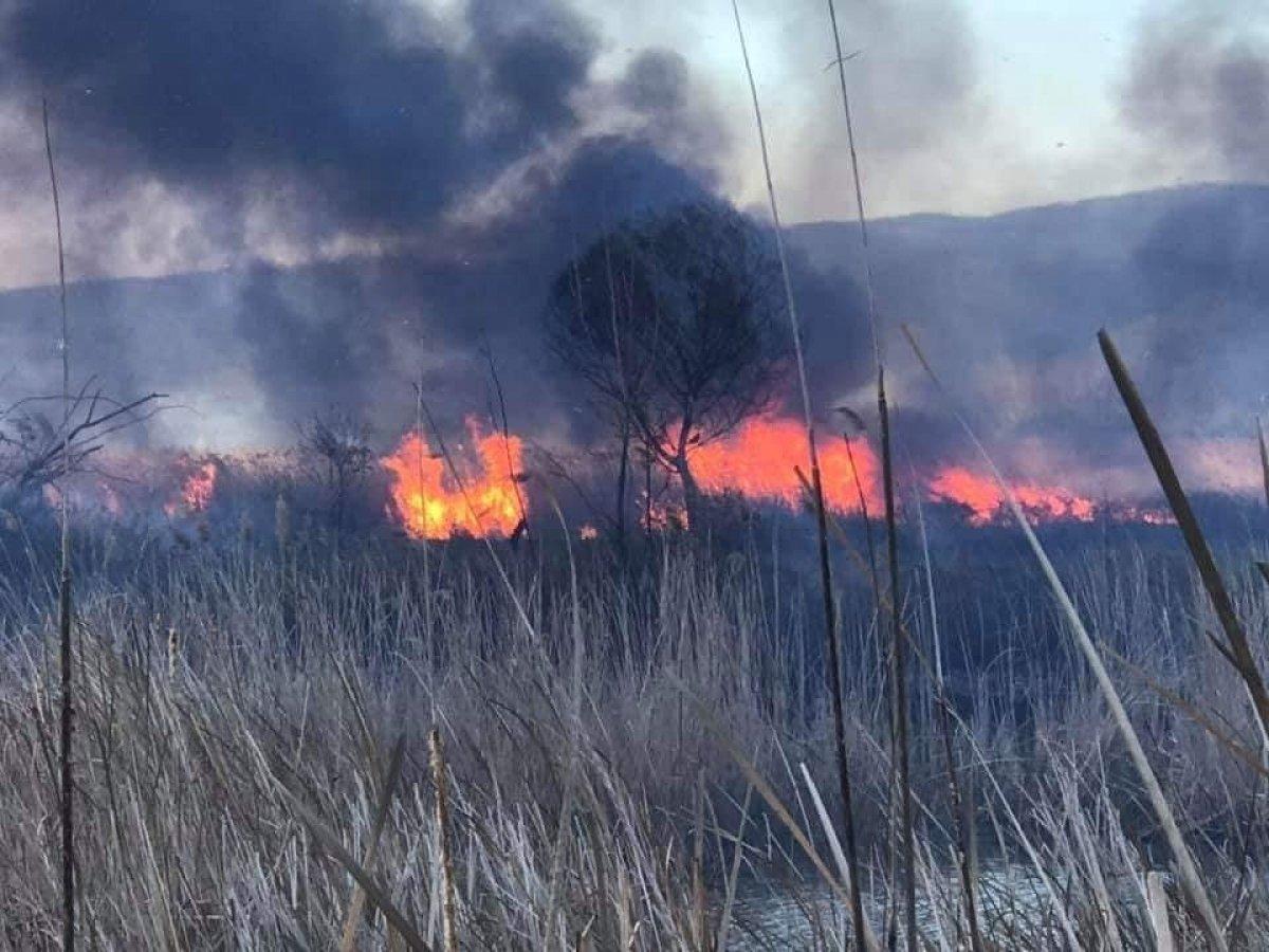 İznik Gölü'nde korkutan yangın