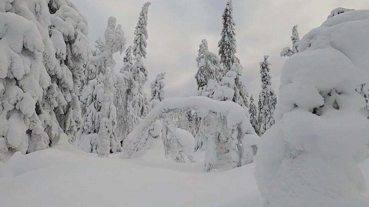 İsveç'ten tabloluk kar manzaraları