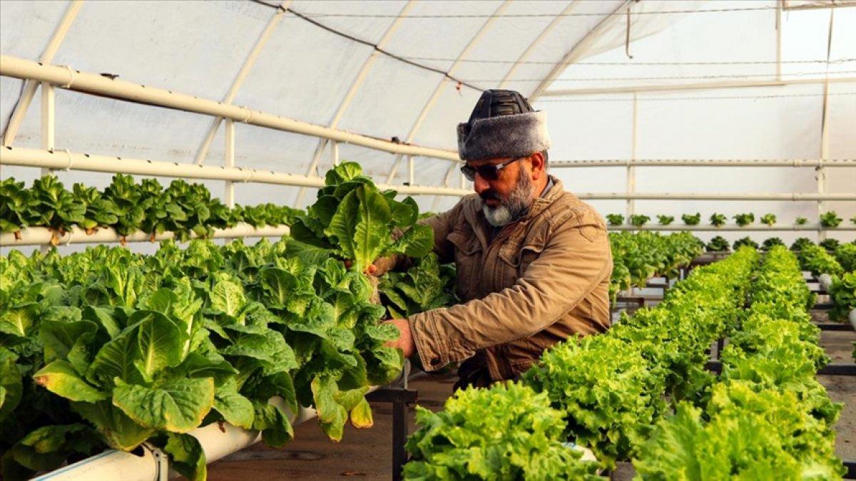 tarım yatırımları arttı