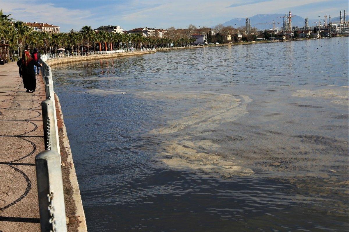 İzmit Körfezi’ndeki tabakanın nedeni alg patlaması çıktı