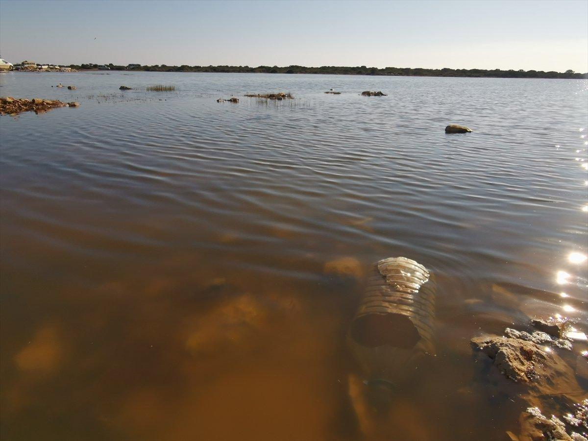 Didim'de 1,5 ton çöp toplandı