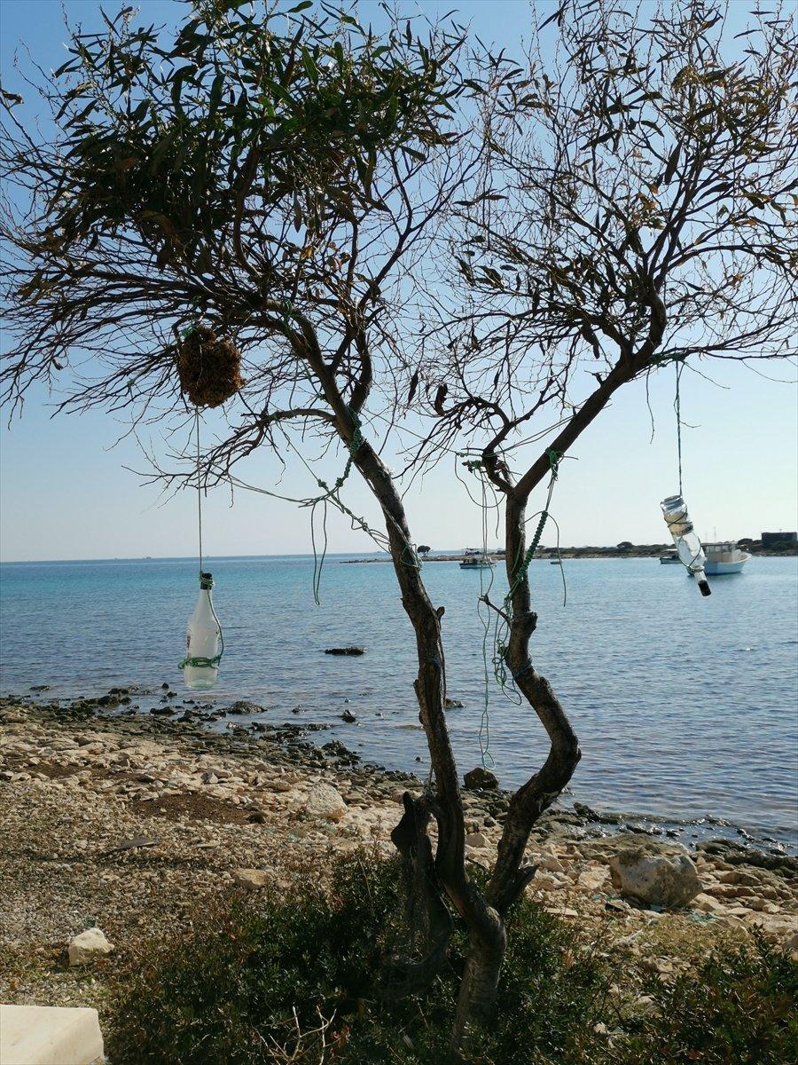 Didim'de 1,5 ton çöp toplandı