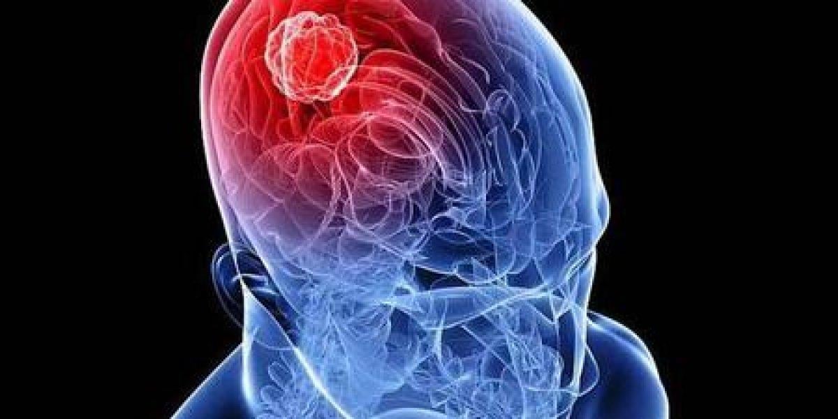 Omurilik soğanı nedir, ne işe yarar? Kim Milyoner Olmak İster omurilik soğanı sorusu..