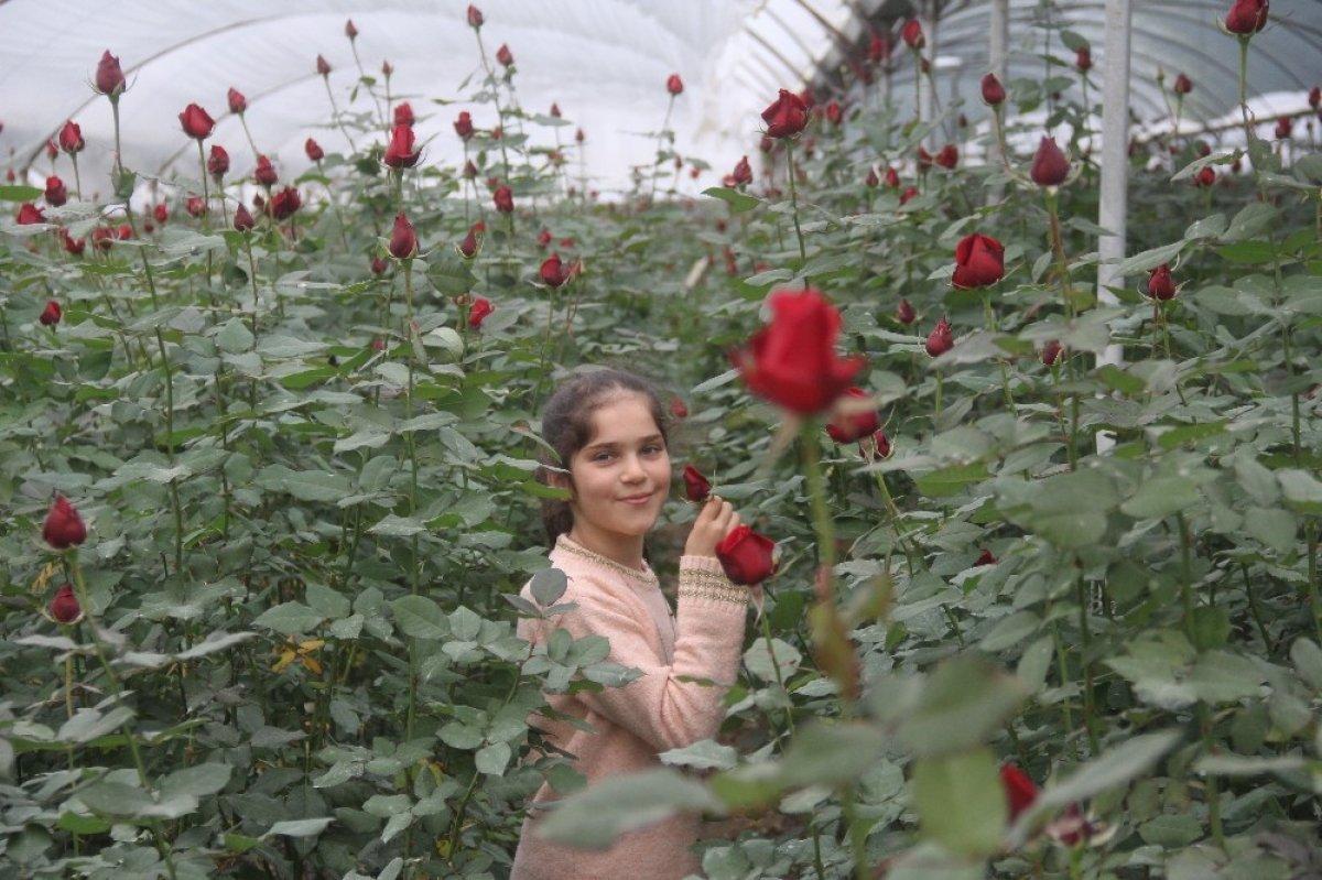 Adana çiçek üreticisi