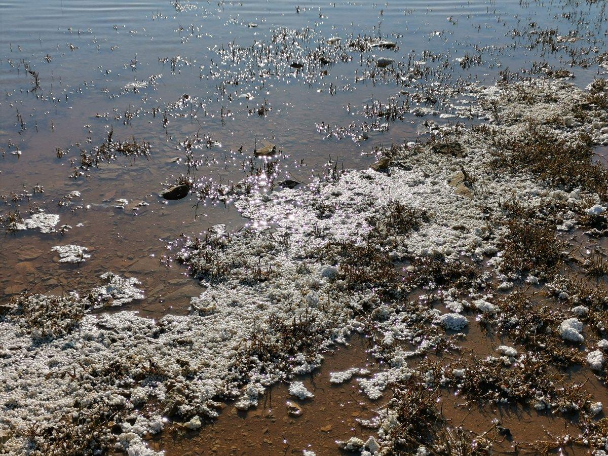 Didim'de 1,5 ton çöp toplandı