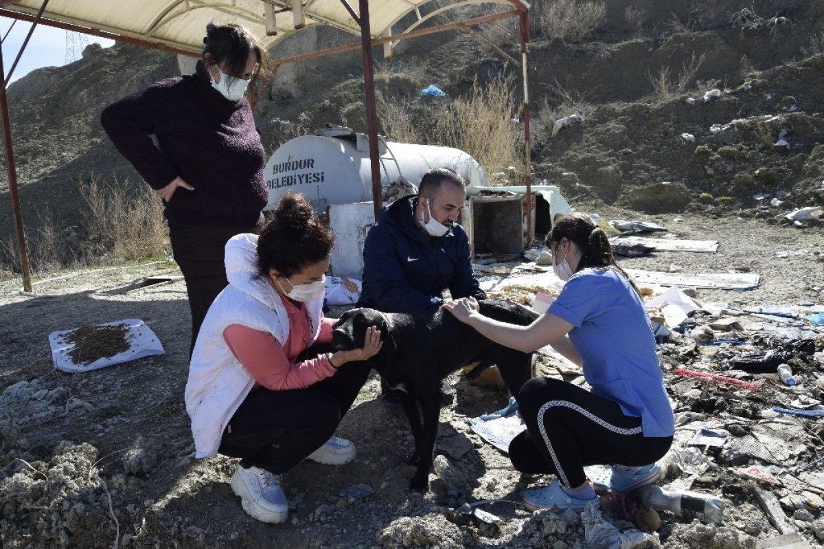 Burdur'da, yemek kazanları sokak hayvanları için kaynadı