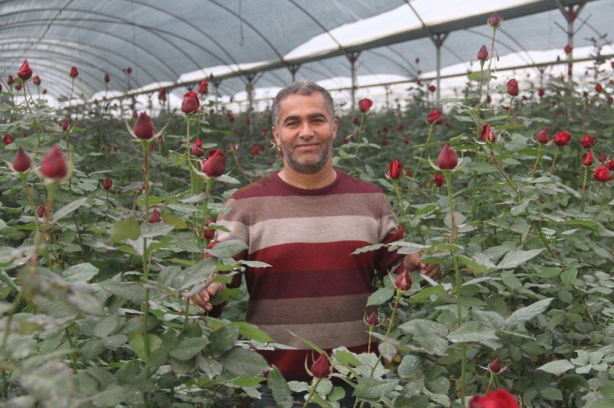 Adana çiçek üreticisi