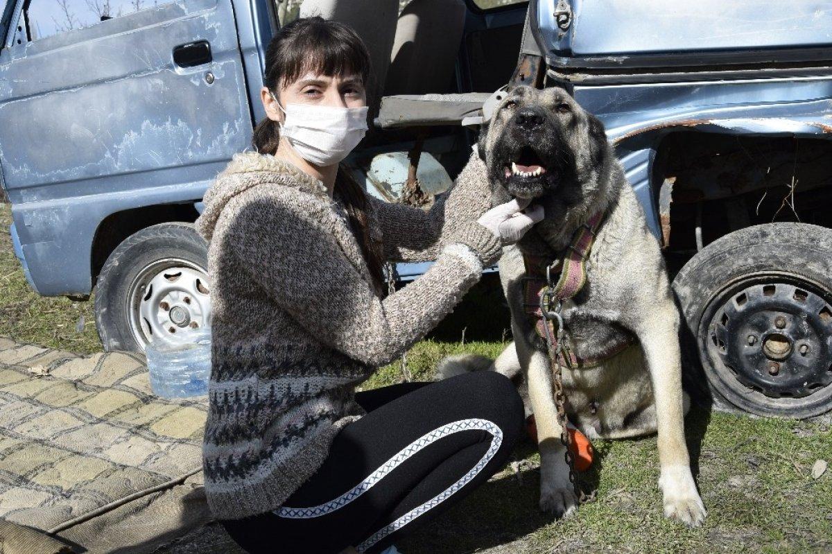 Burdur'da, yemek kazanları sokak hayvanları için kaynadı