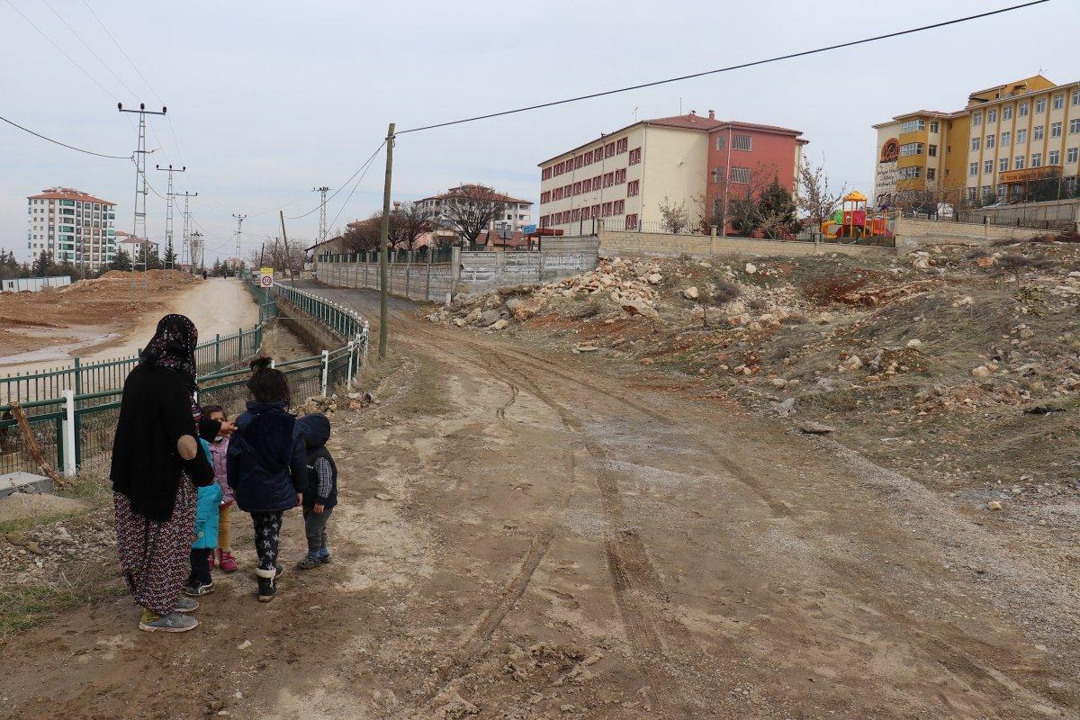 Malatya’da 8 sokak köpeği kadına saldırdı