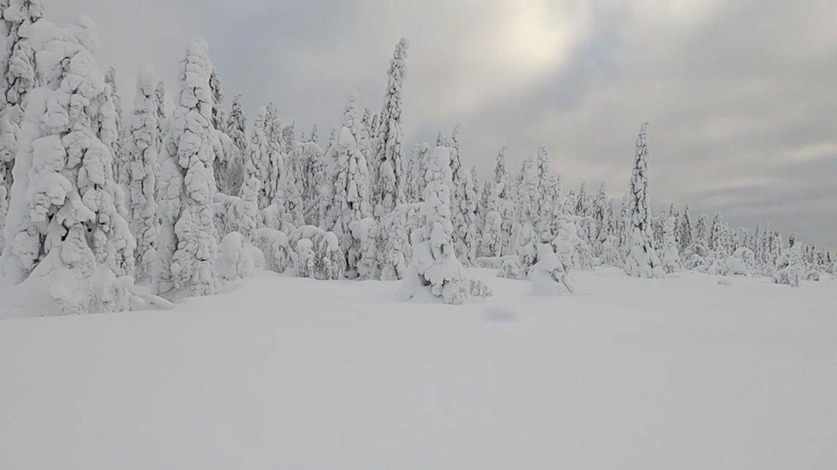 İsveç'ten tabloluk kar manzaraları