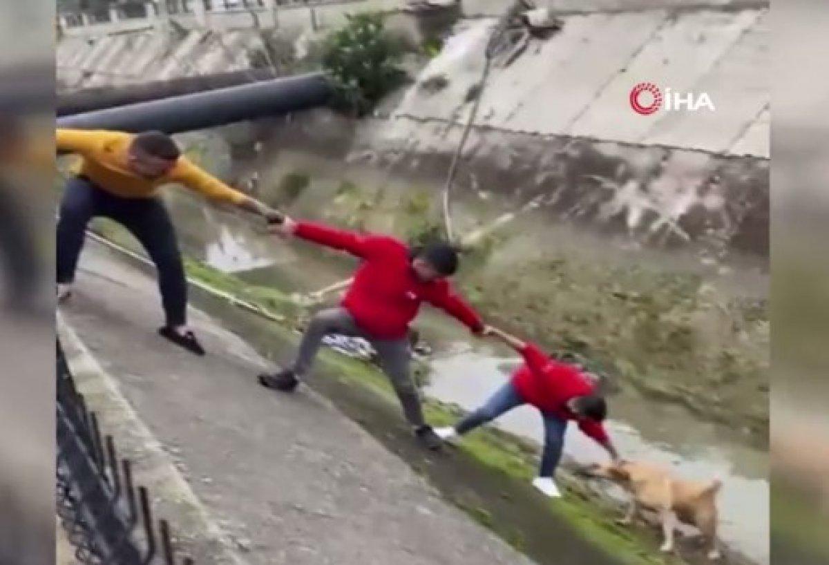 Antalya'da kanala düşen köpek imece usulü kurtarıldı
