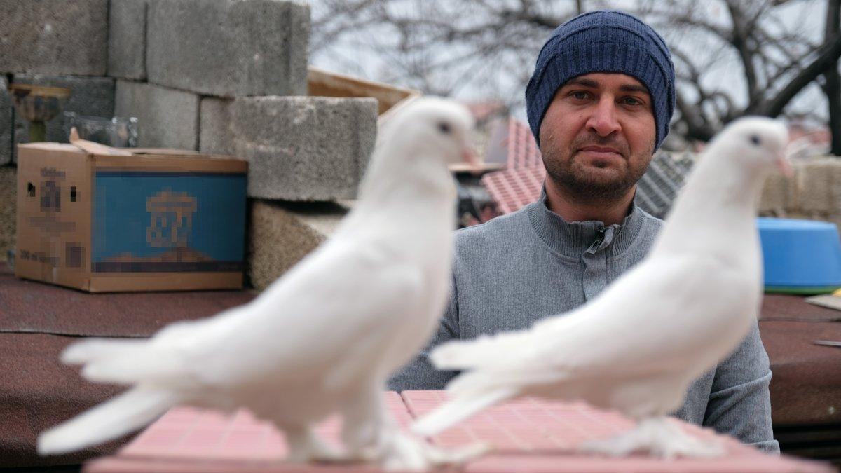 Konya'da 100 bin liraya güvercin alanlar oluyor