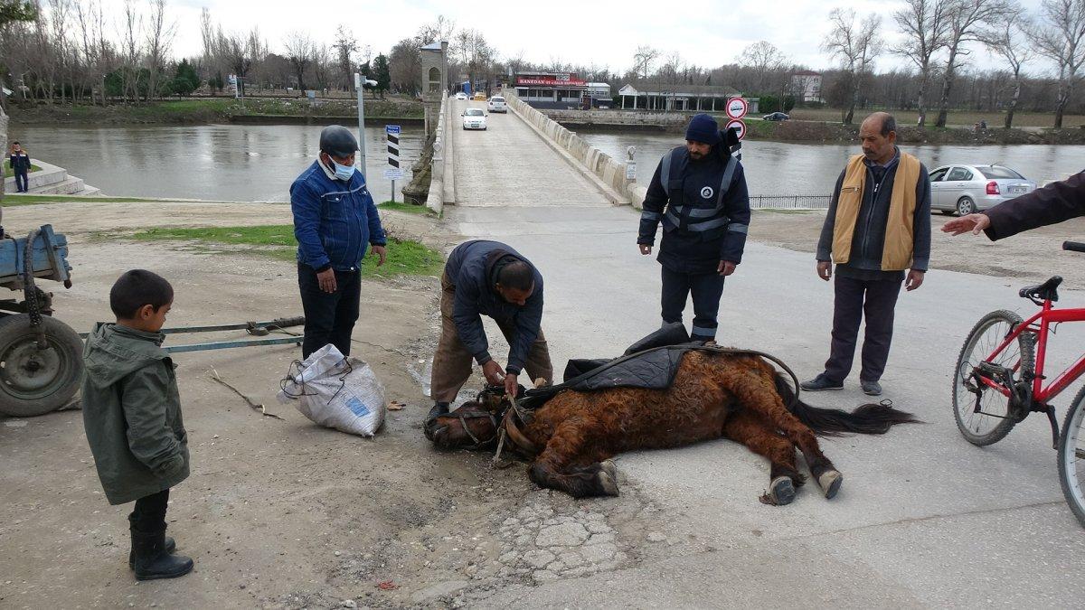 Edirne'de, aşırı yükten yere yığılan at hem sürüklendi hem kuyruğu çekildi