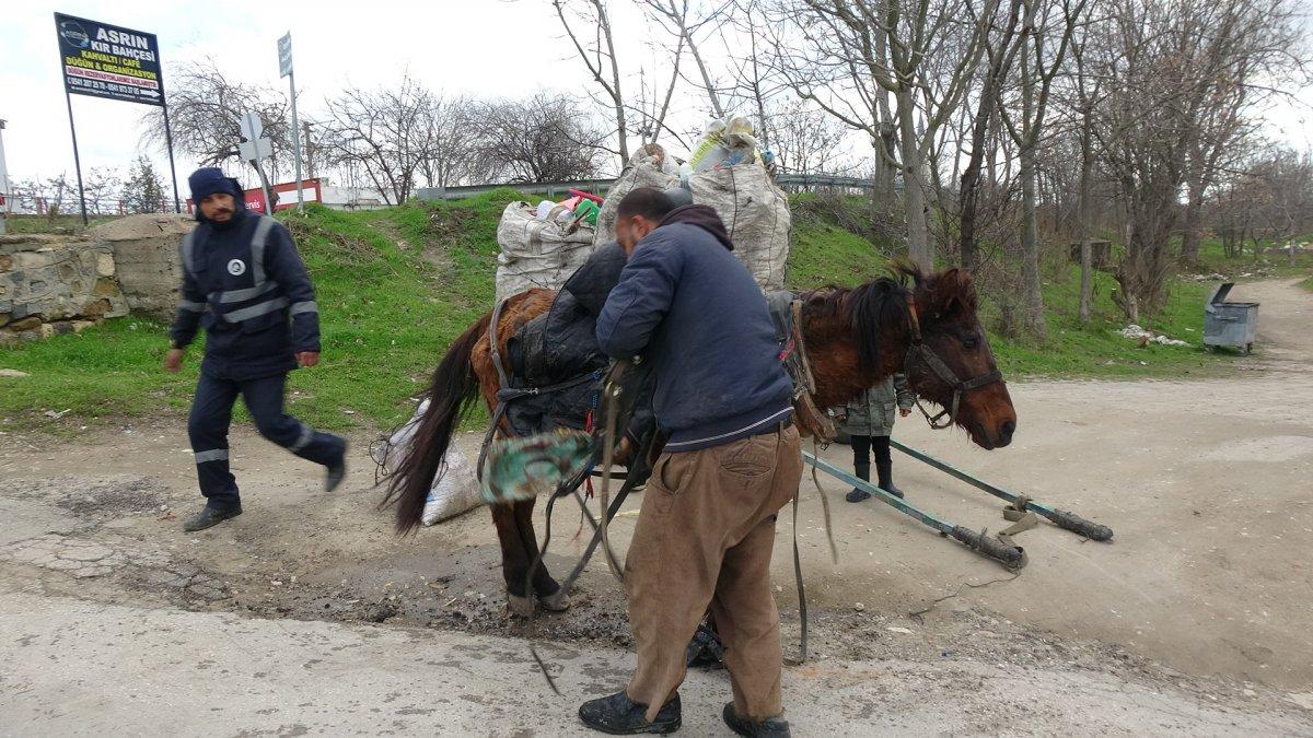 Edirne'de, aşırı yükten yere yığılan at hem sürüklendi hem kuyruğu çekildi
