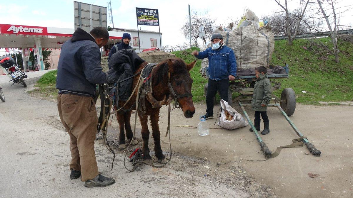 Edirne'de, aşırı yükten yere yığılan at hem sürüklendi hem kuyruğu çekildi