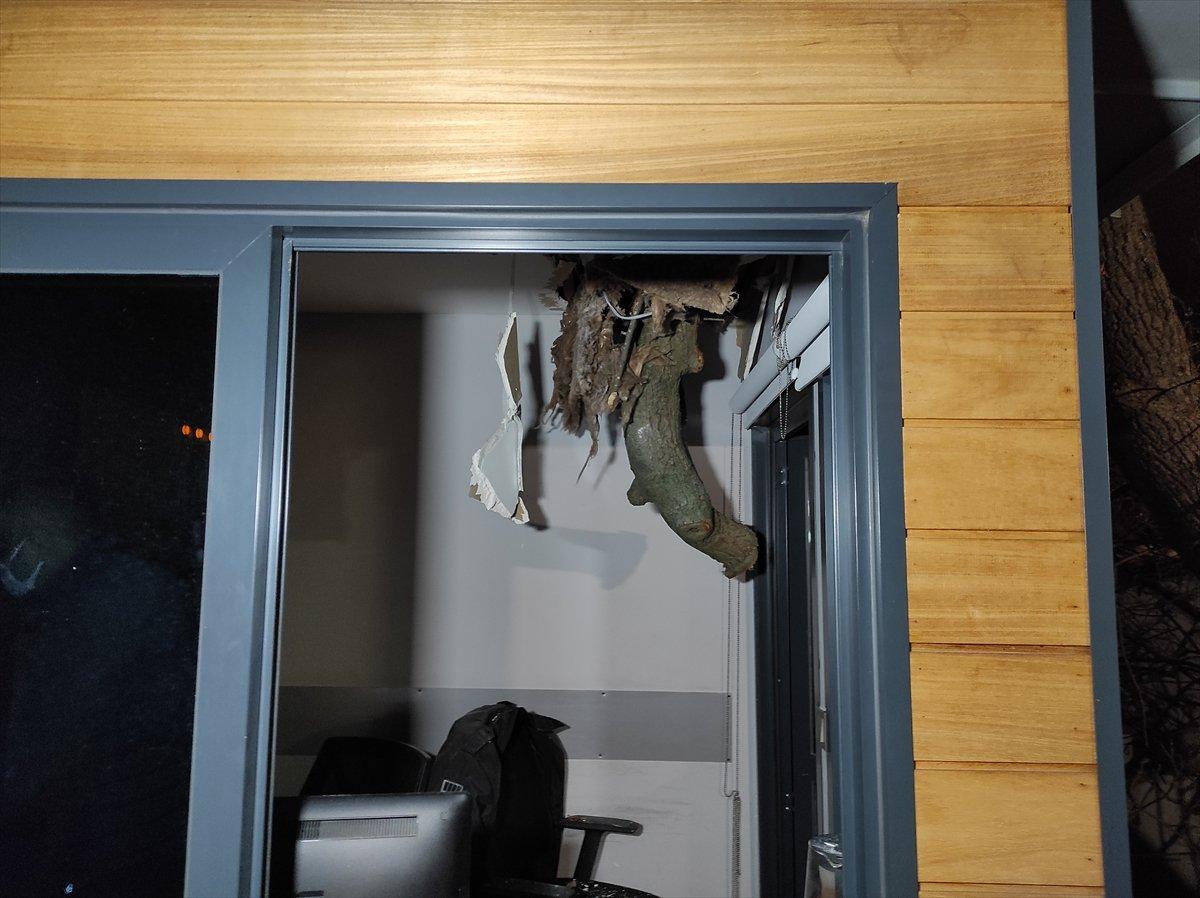 İstanbul'da rüzgar asırlık çınarı devirdi