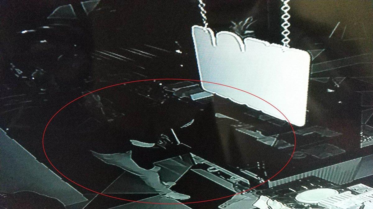 Samsun'da, 'sadece baklava yedim' diyen hırsızın foyasını kameralar ortaya çıkardı