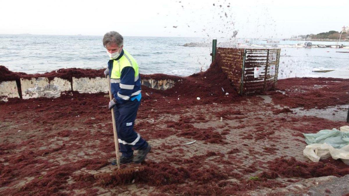 Caddebostan sahilini kırmızı yosunlar ve çöpler kapladı