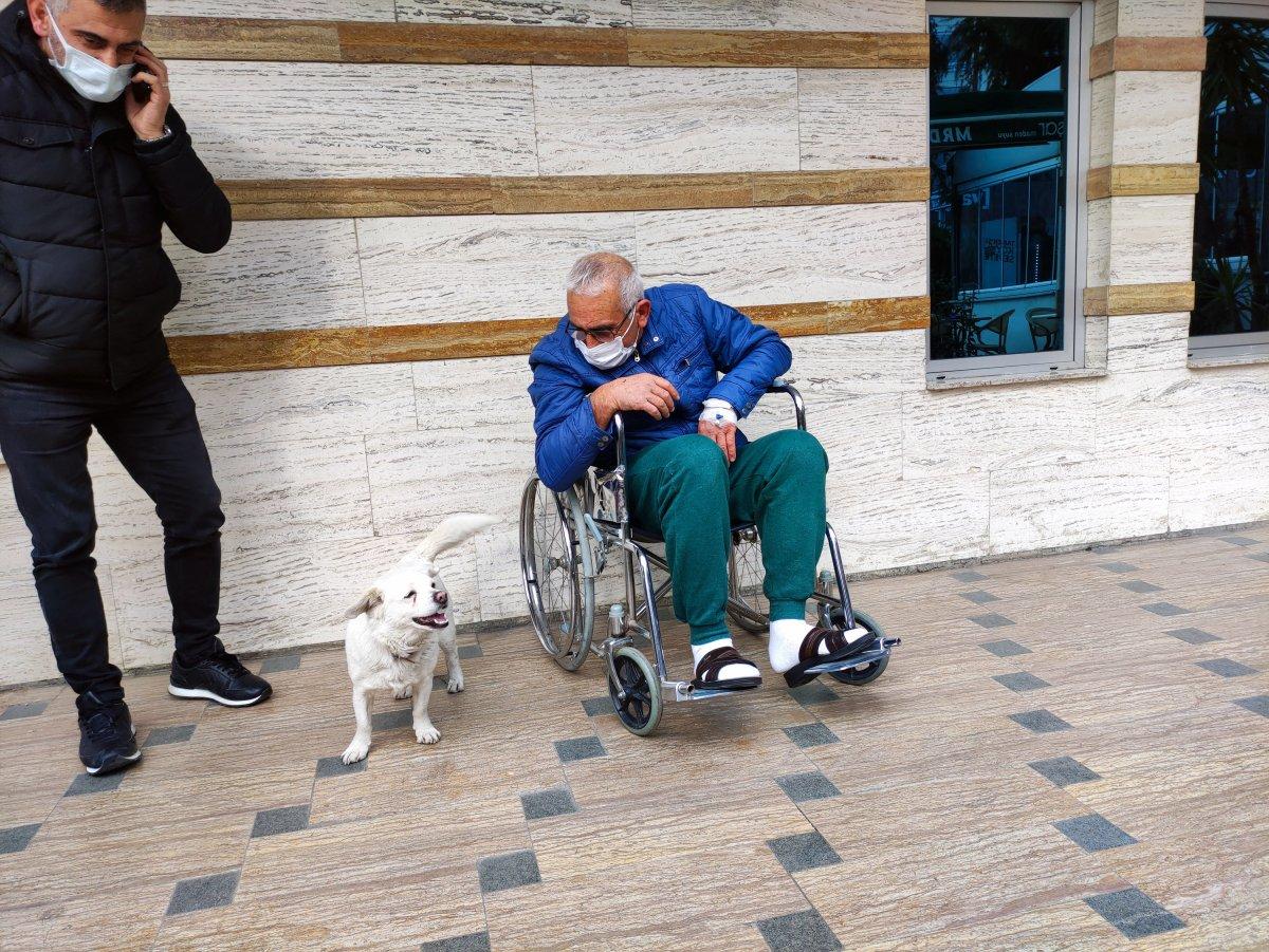 Trabzon'un 'Hachiko'su Japonya'da gündeminde