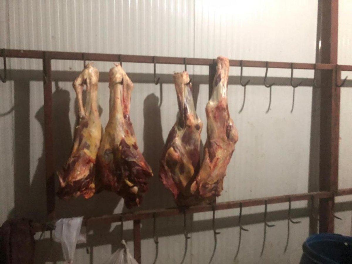 Malatya'da yem fabrikasında ruhsatsız et üretimine baskın