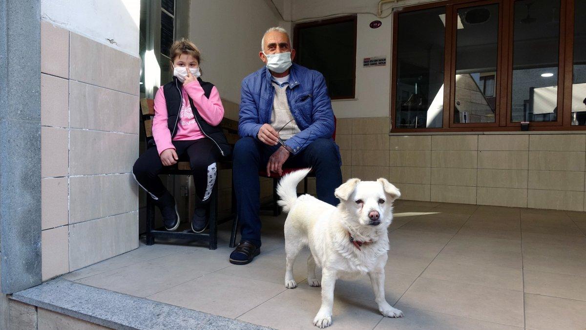 Trabzon'un 'Hachiko'su Japonya'da gündeminde